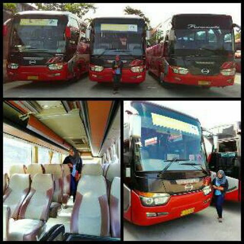 Sewa Bus Pariwisata Bhineka