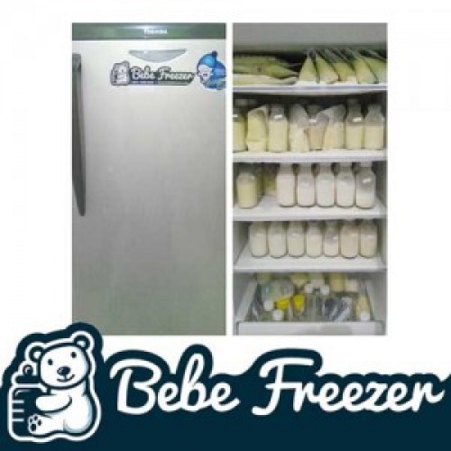 Sewa Freezer ASI JAKARTA   bebeFreezer 